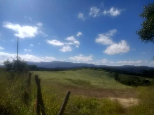 foto - Belo Horizonte - Palmares