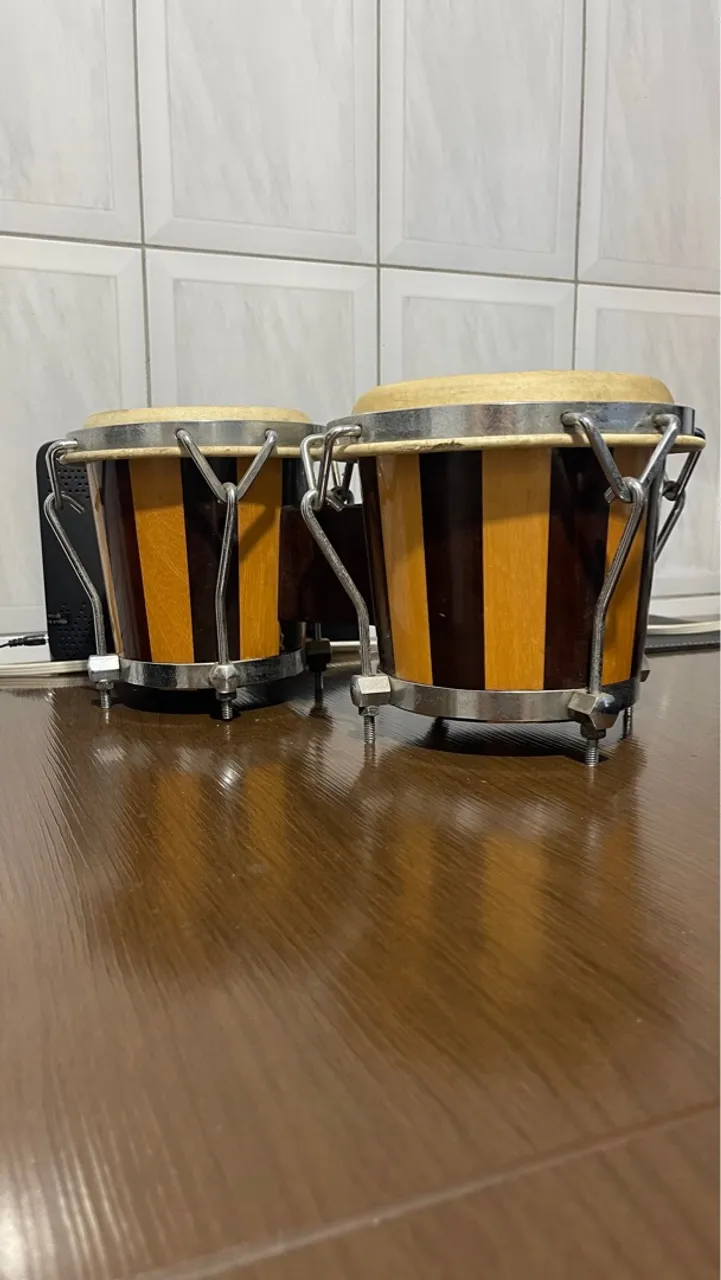 Bongo Profissional com Design Exclusivo