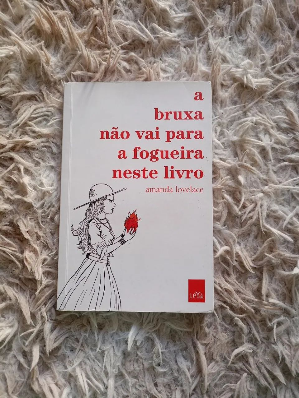 LIVRO: a bruxa não vai para a fogueira neste livro