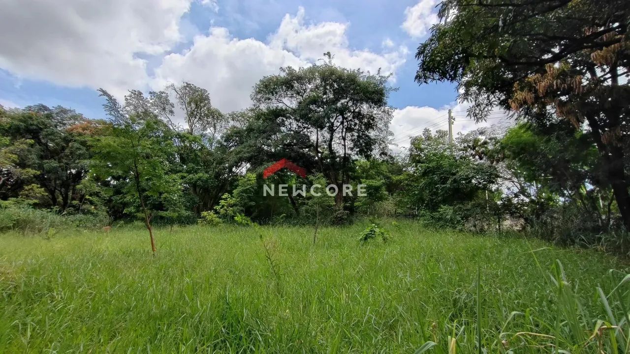 Lote em Rua José Simplício Moreira - Trevo - Belo Horizonte/MG - Foto 9