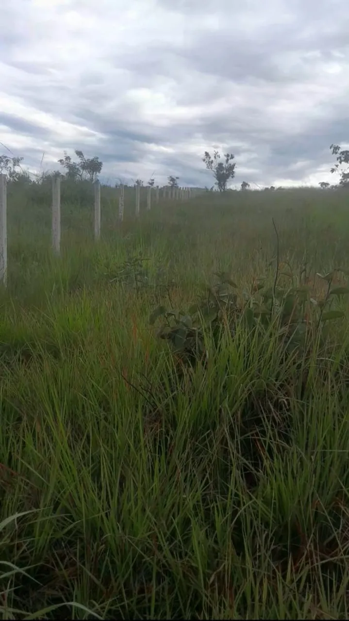 1 hectare à venda