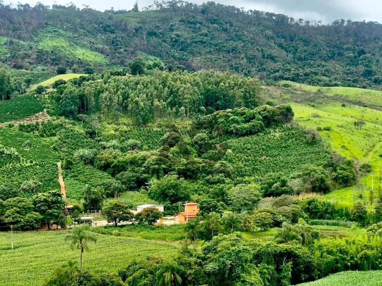 Sítio | 59.000m² | Ampla Área Verde | Estrutura Completa | em Serra Negra-SP - Foto 3