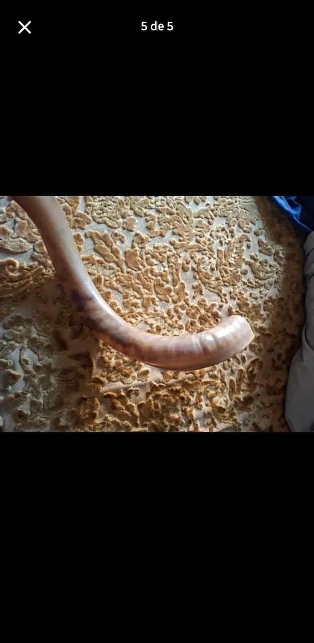 Shofar  - Foto 5