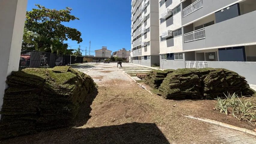 Foto - Paulista - Janga