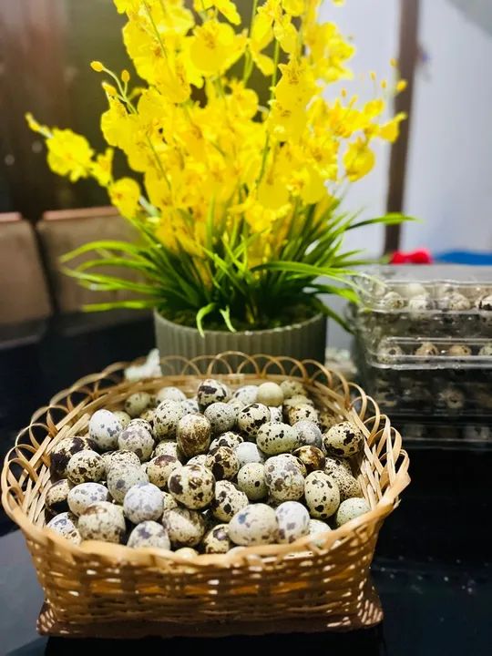 Ovos de codorna frescos - Foto 5