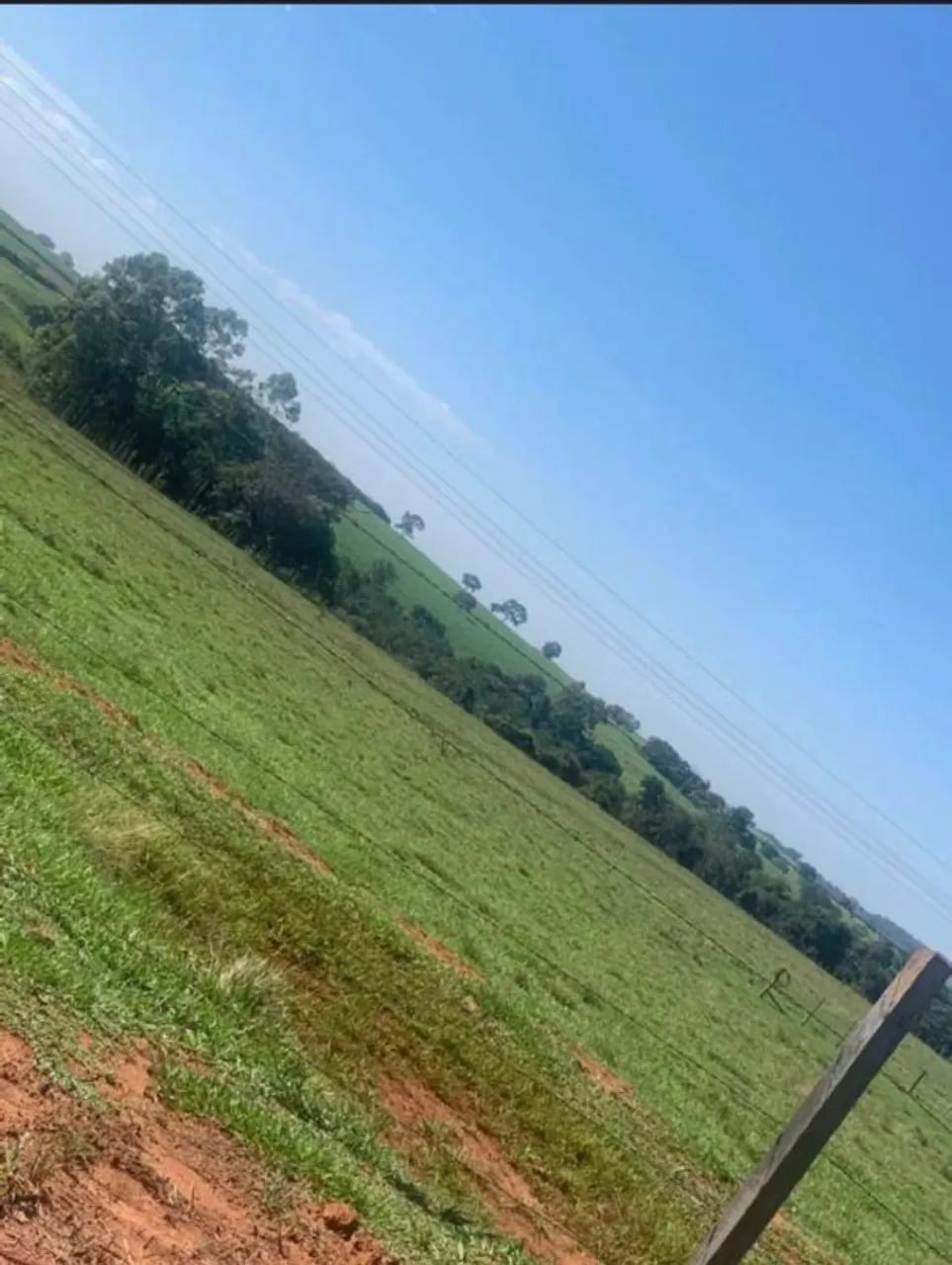 Sitio a venda  - Foto 2