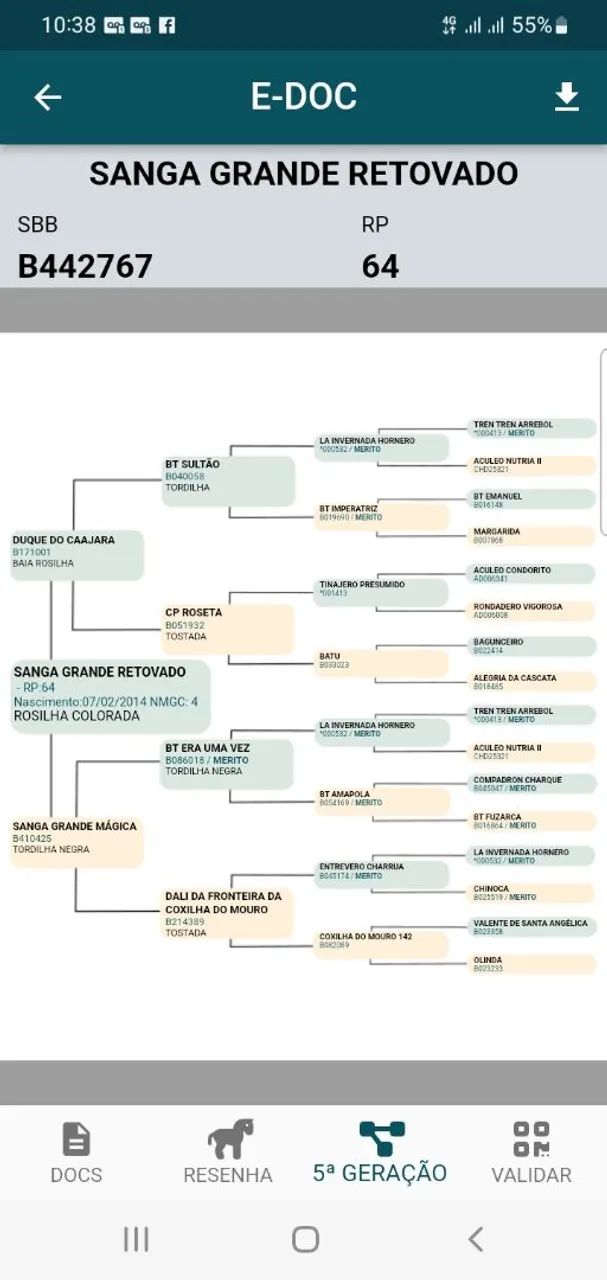 BARBADA, LINDO CAVALO CRIOULO, DE LAÇO, TÓP. - Foto 6