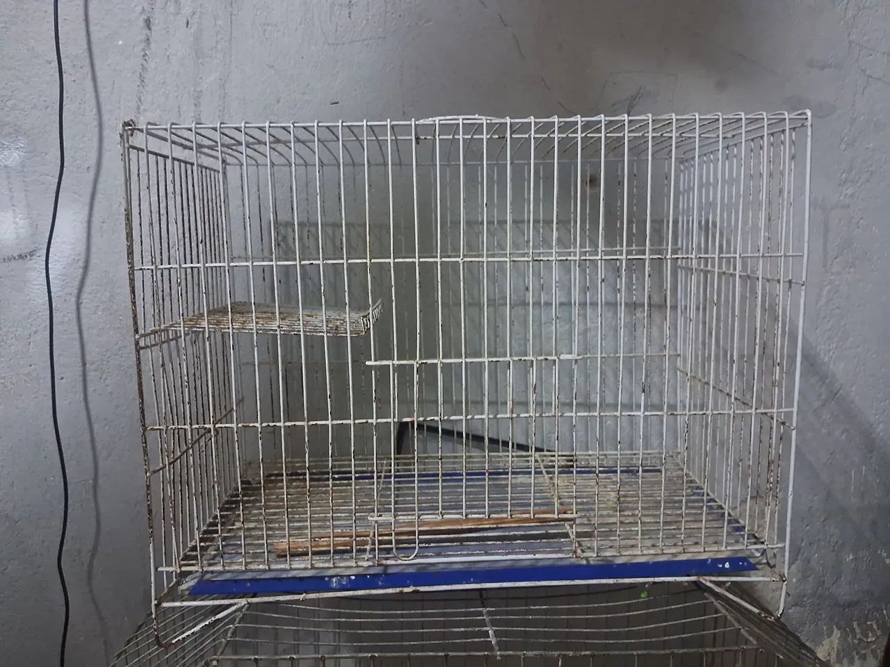 Gaiola pássaros  - Foto 2