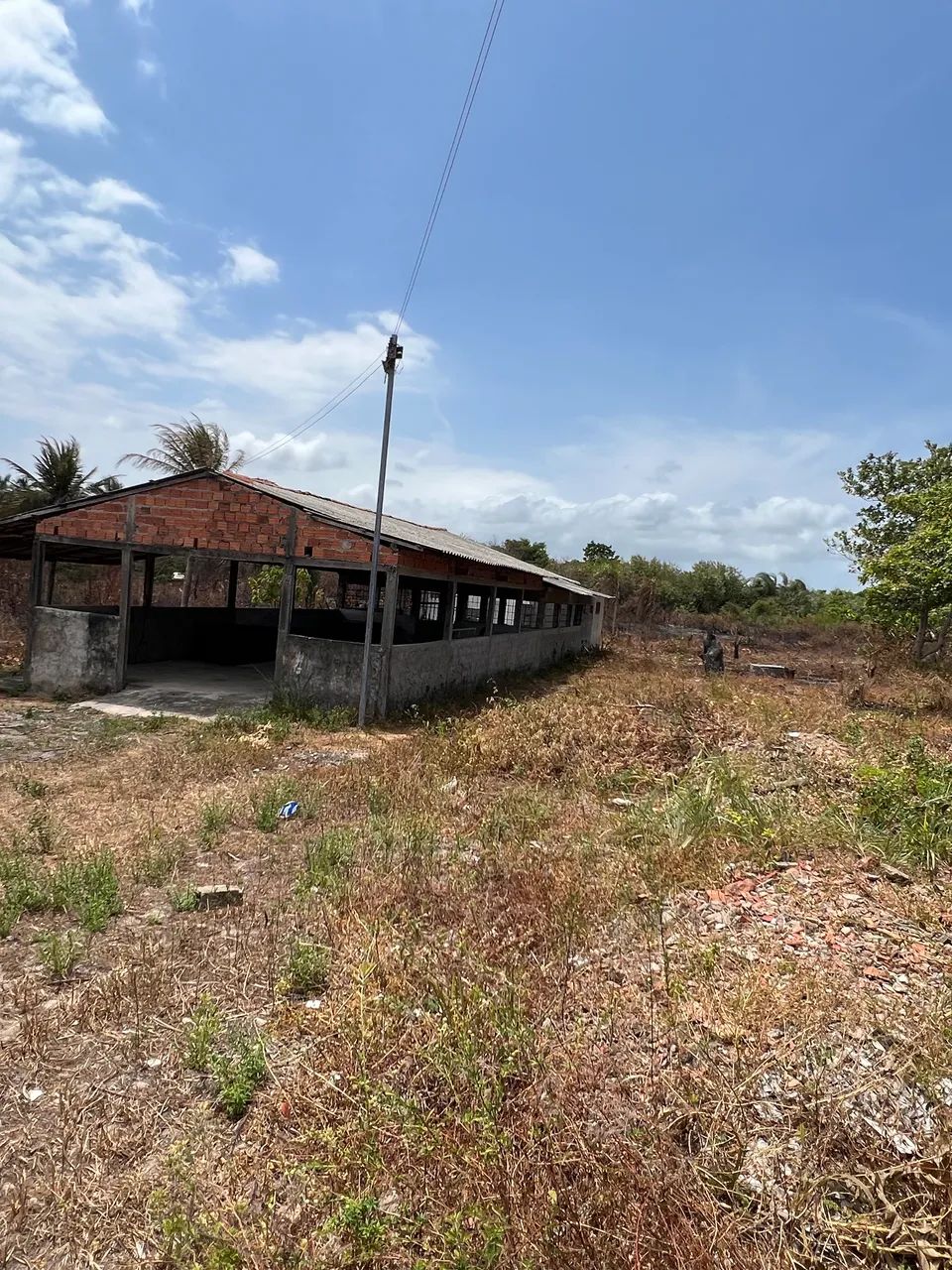 Terreno em Ribamar 40.000 metros  - Foto 13