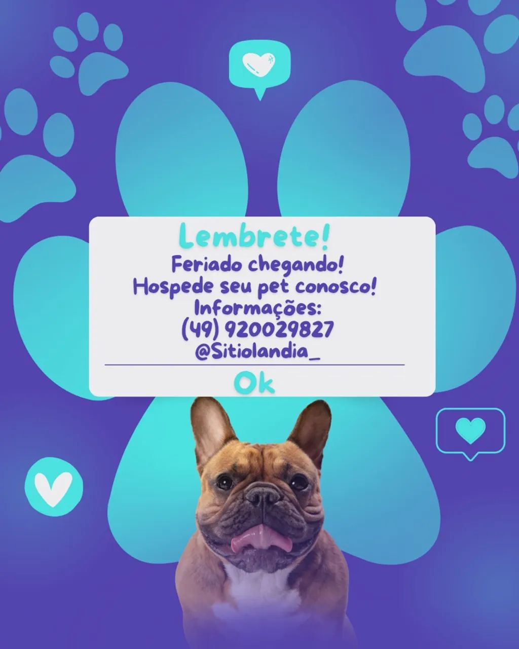Hospedagem para seu pet no feriado!