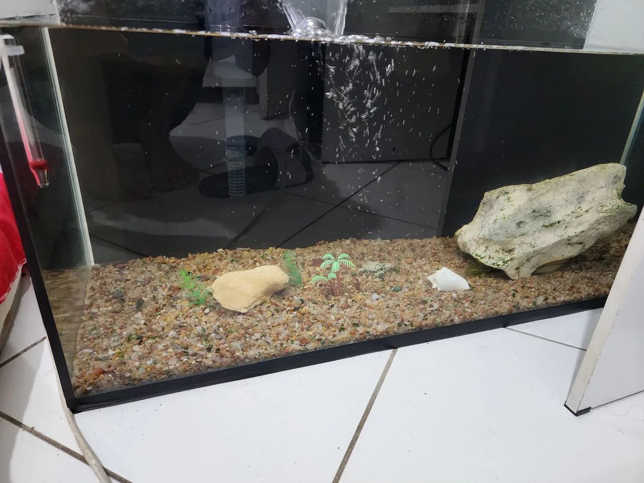 Aquario completo - Foto 2