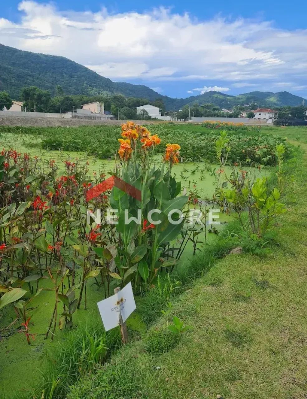 Lote em Rua Lua - Piratininga - Niterói/RJ - Foto 7