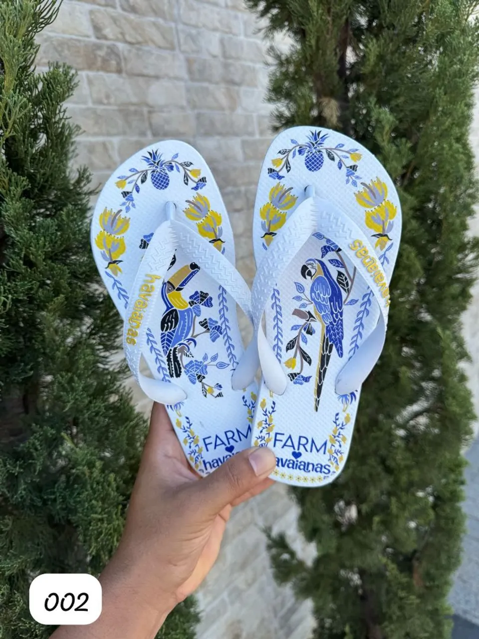 Havaianas FARM