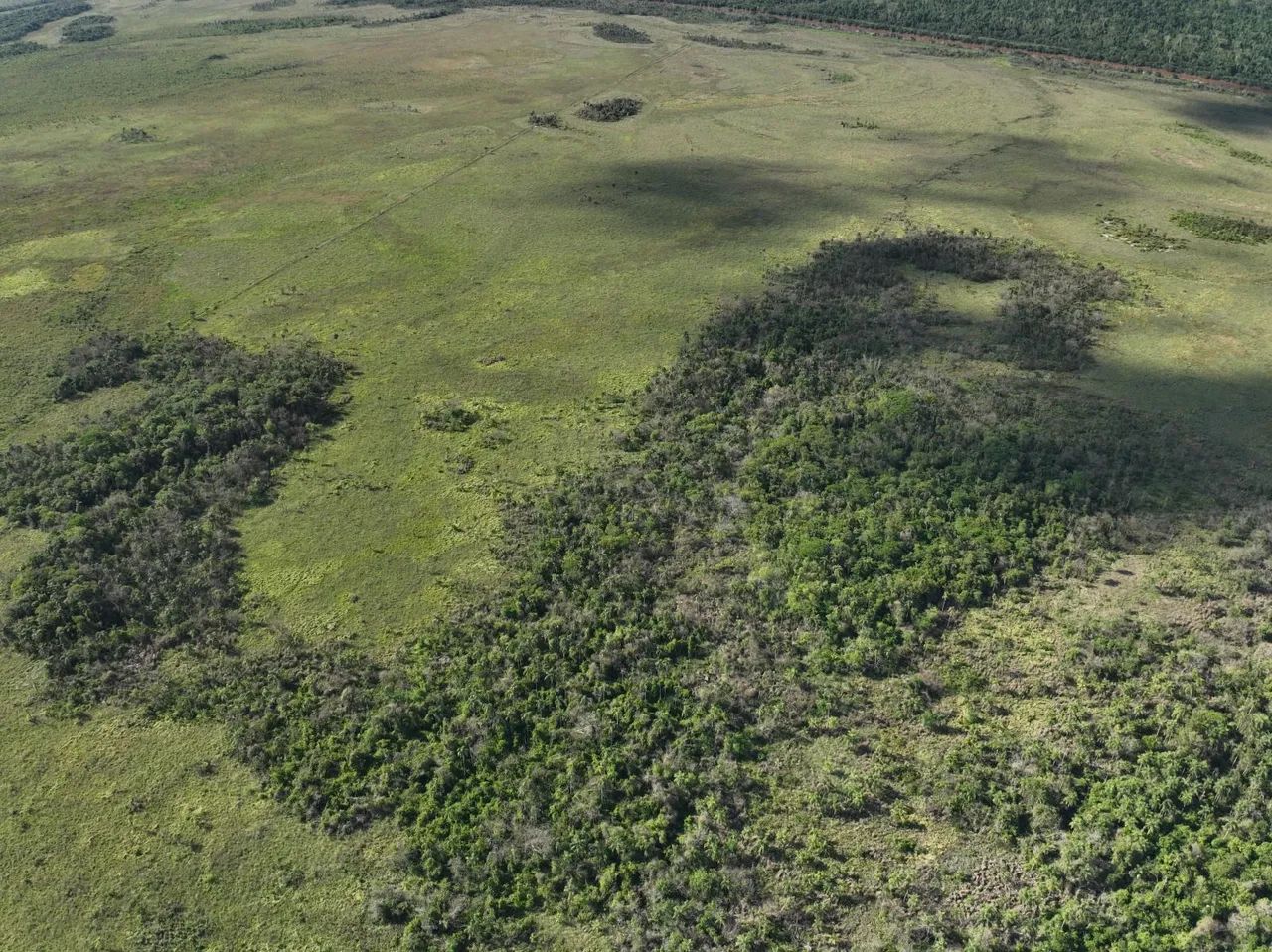 Fazenda a venda investidor  - Foto 2