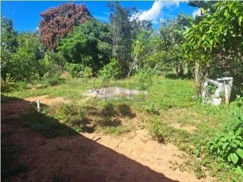 Negociando  - Foto 5