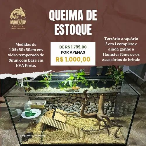 Terrário/Aquário 2 em 1