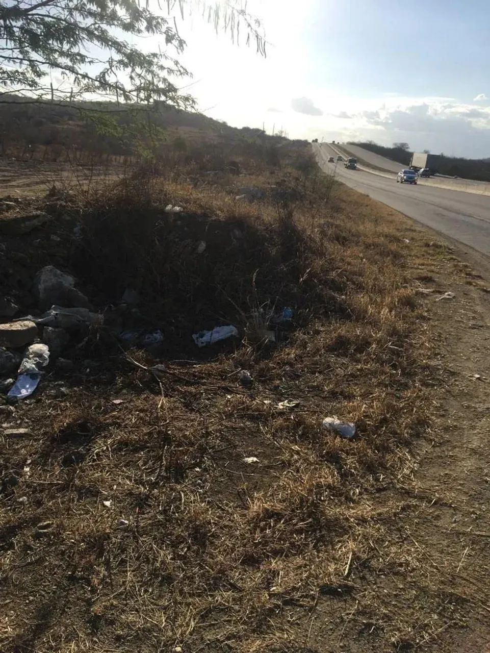 Fazenda 300 hec, BR 232 Passando Dentro, São Caetano, Vendo Desmembrada, Valor p/hec - Foto 3