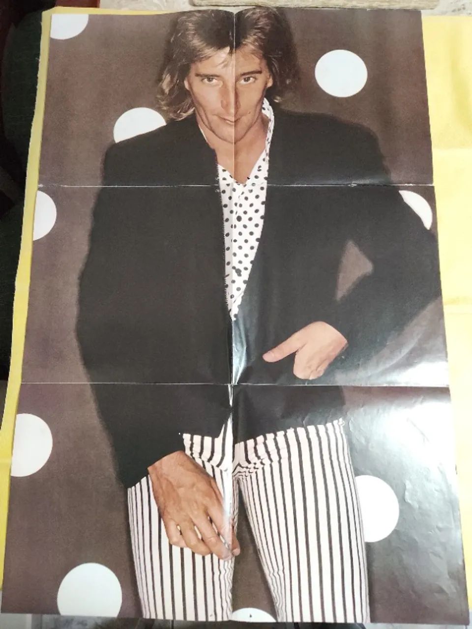 Rod Stewart - Foolish Behaviour - Foto 5