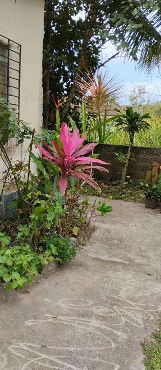 Pequena chácara em Peruíbe  - Foto 3