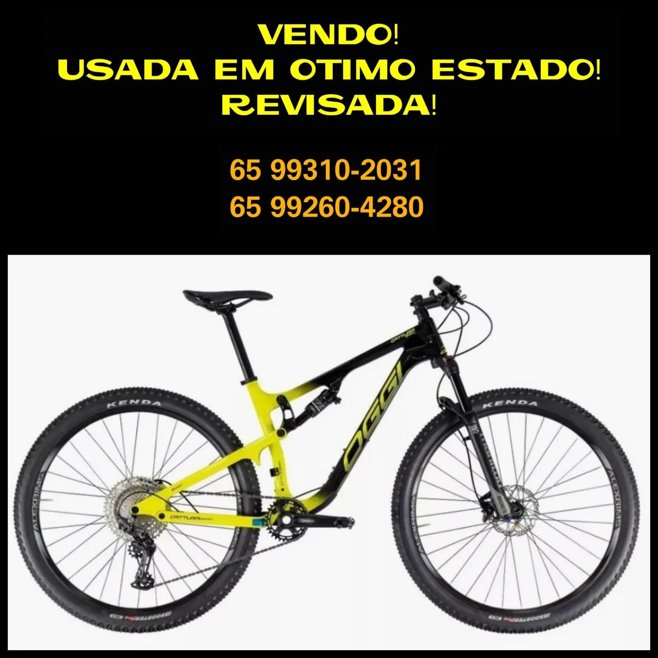 Bicicleta Oggi carbono