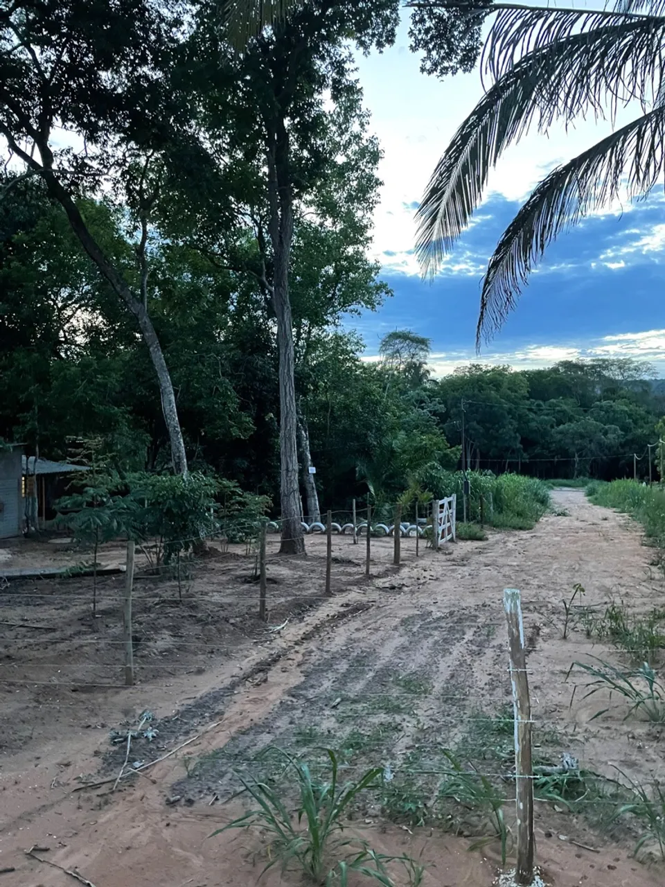 VENDO Rancho em Palmeiras!