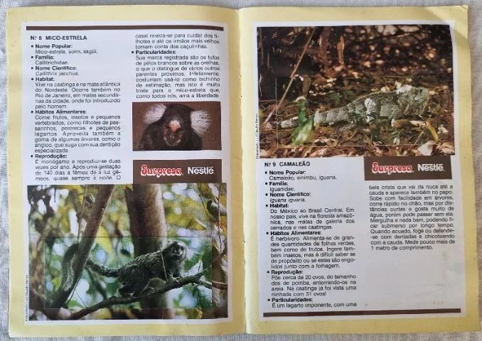 Álbum - Sertões - 1991 - Nestlé - Completo - Interior em Ótimo Estado - Foto 3