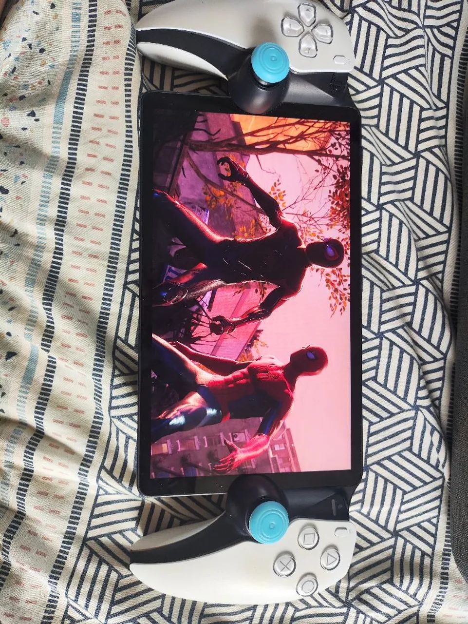 Playstation Portal