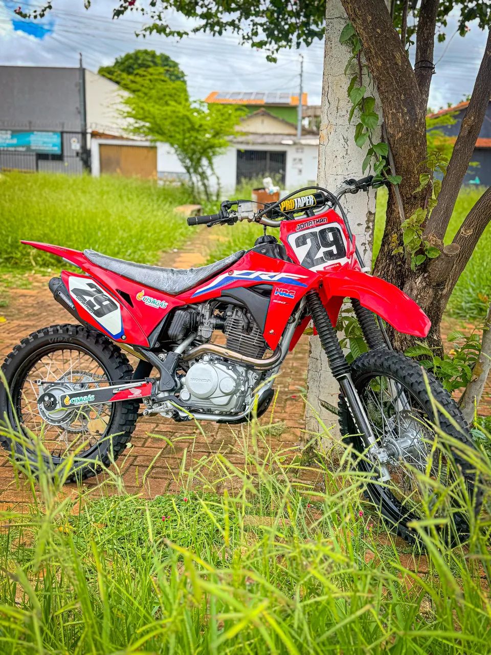 CRF 230 / 2016 / PROZONA / BRABA 