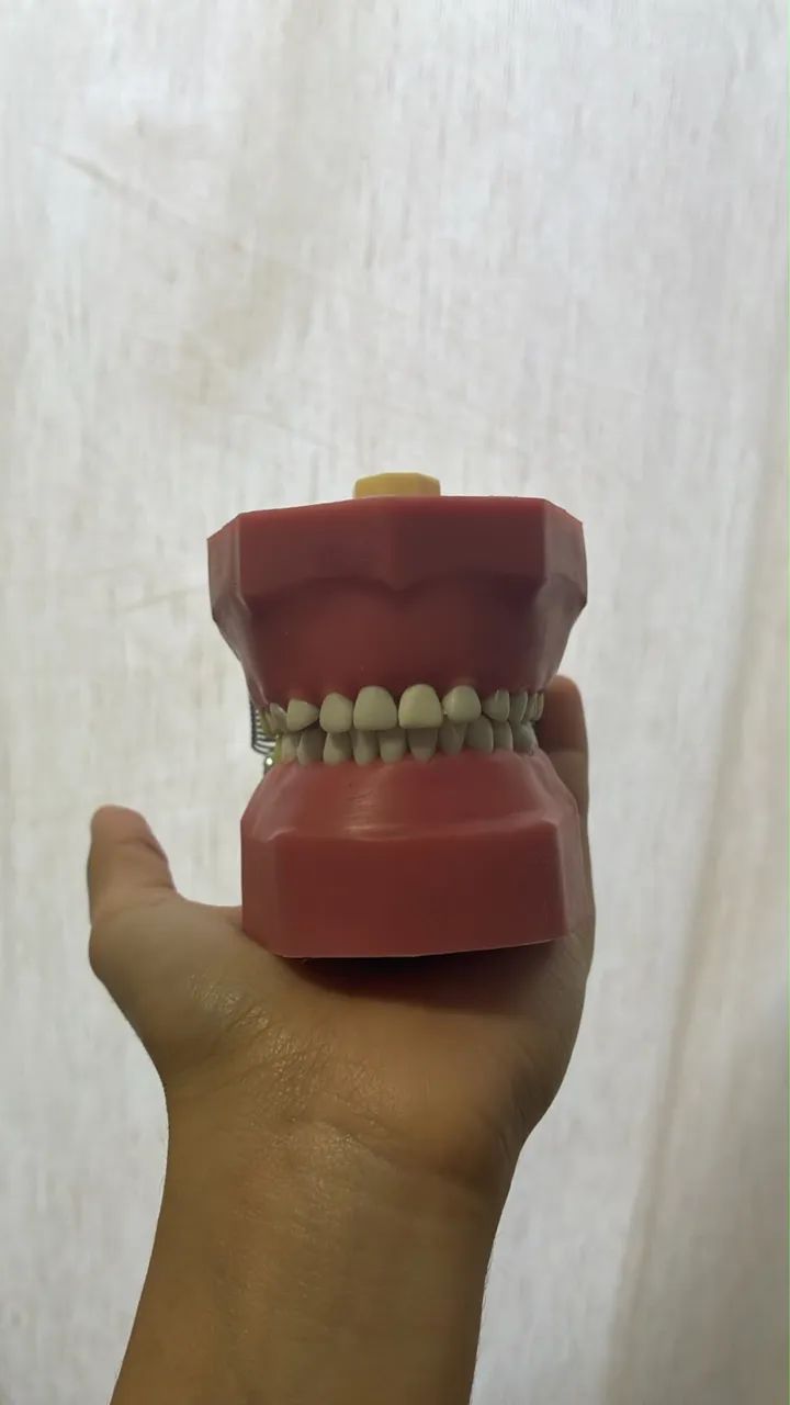 Manequins odontológicos  - Foto 2