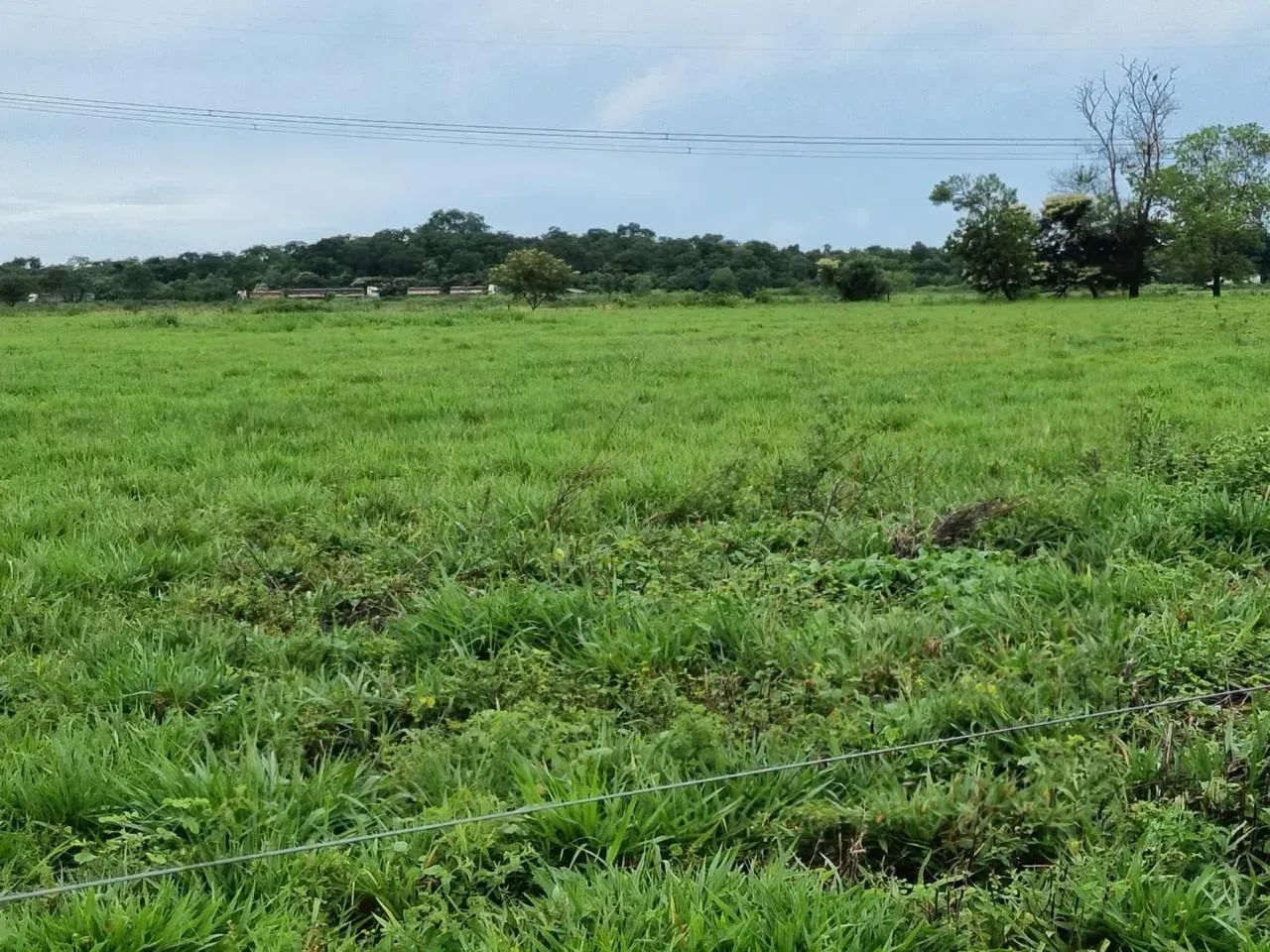 Fazenda dupla aptidão Olho D'água. Próximo Cuiabá - Foto 2