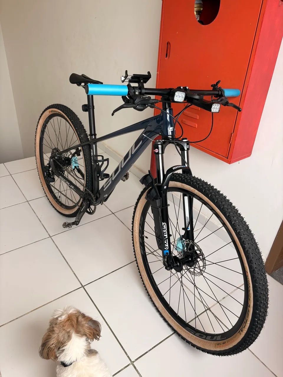 Bike soul aro29