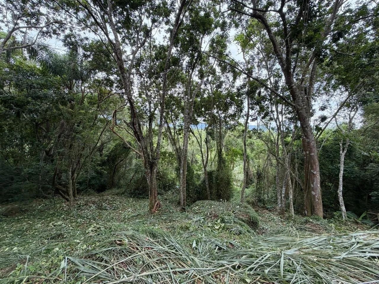 Terreno a venda 4800m² Canto Lamim proximo a Jurere.