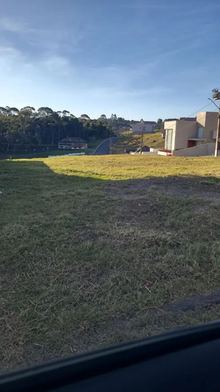 Foto - Colombo - Arruda
