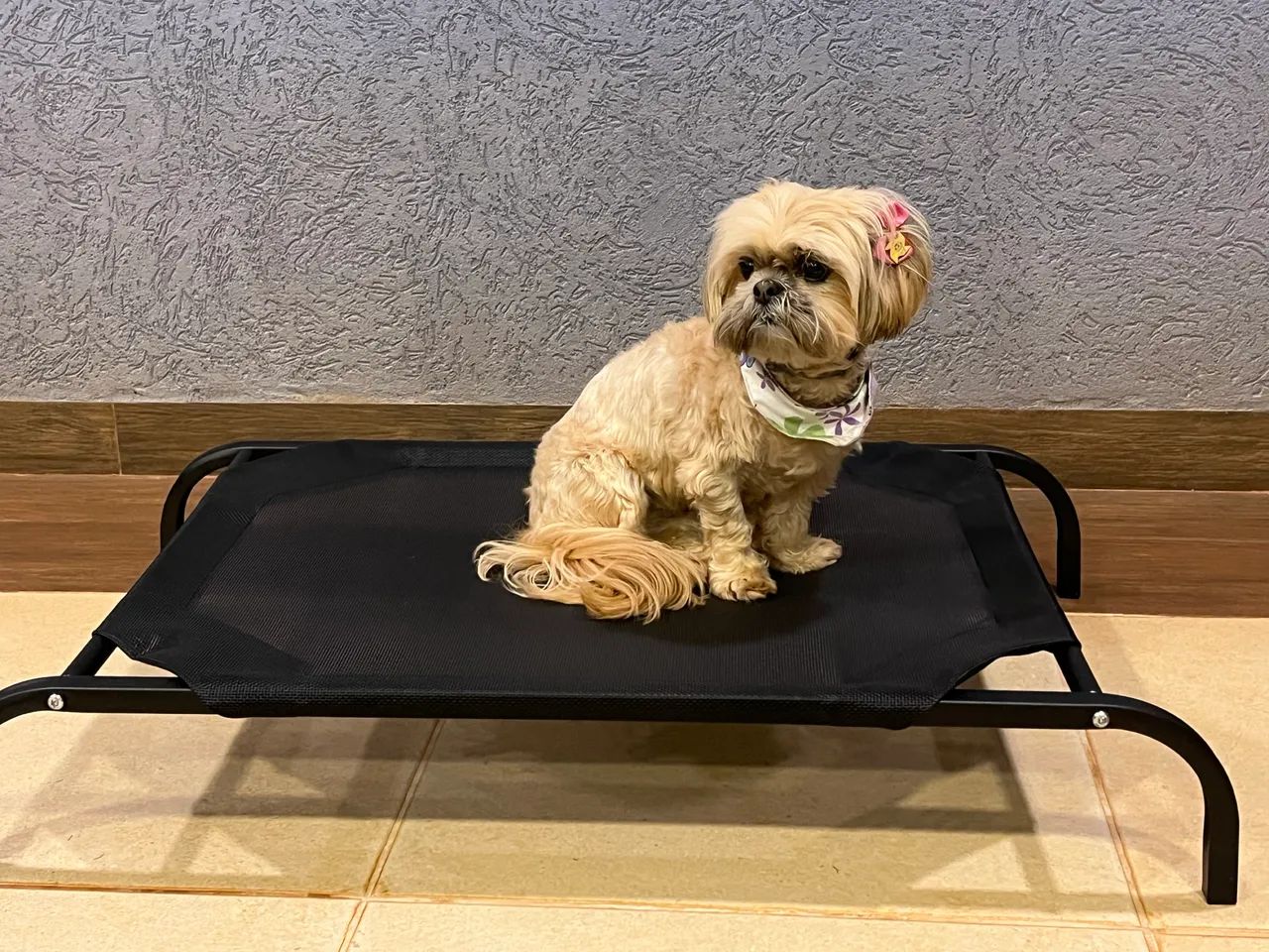 Cama pet elevada reforçada para cães médios  - Foto 2