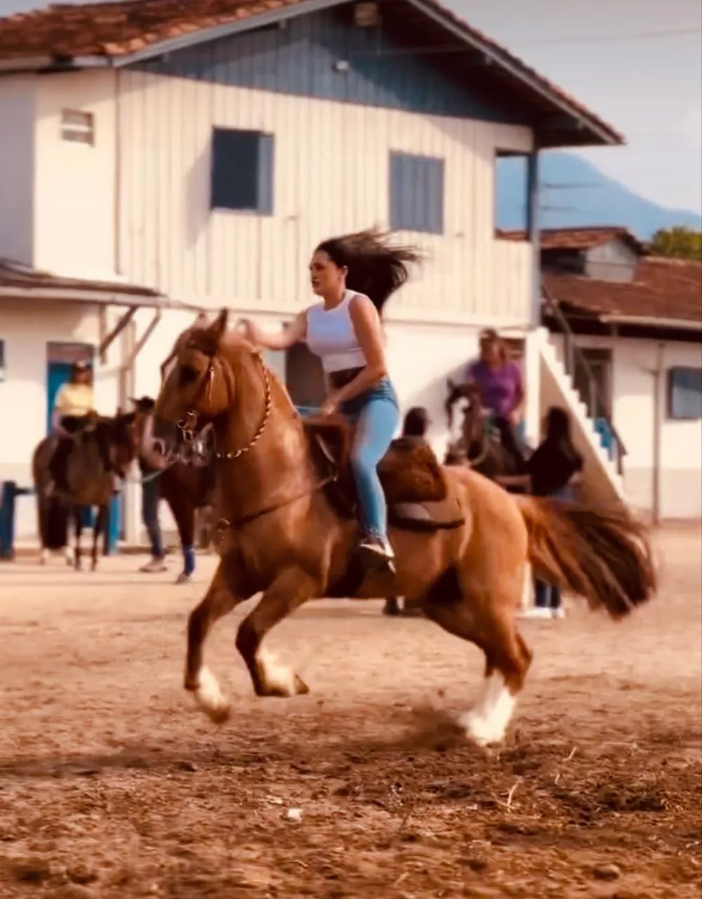 Cavalo Crioulo Jurado - Registrado, Dócil e Pronto para Provas e Cavalgadas - Foto 2