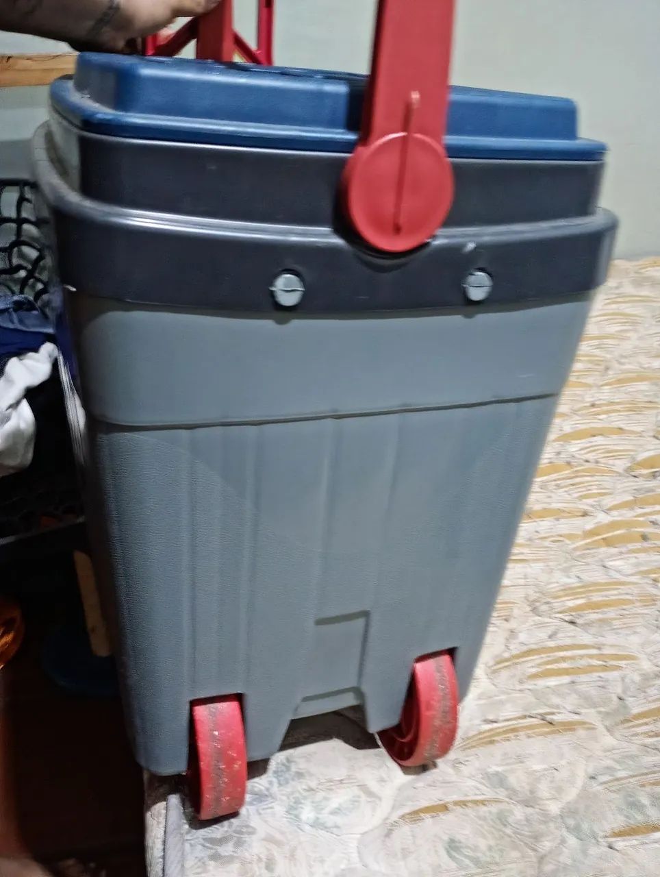 Cooler grande  - Foto 2