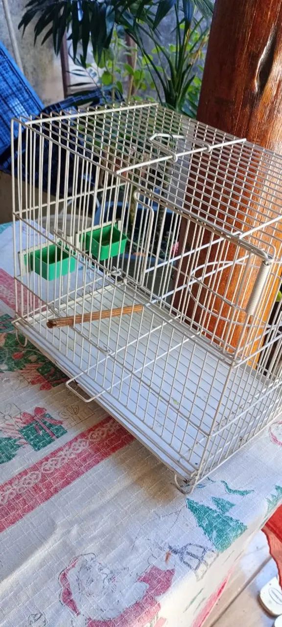Vendo 1 gaiola pra passarinho!