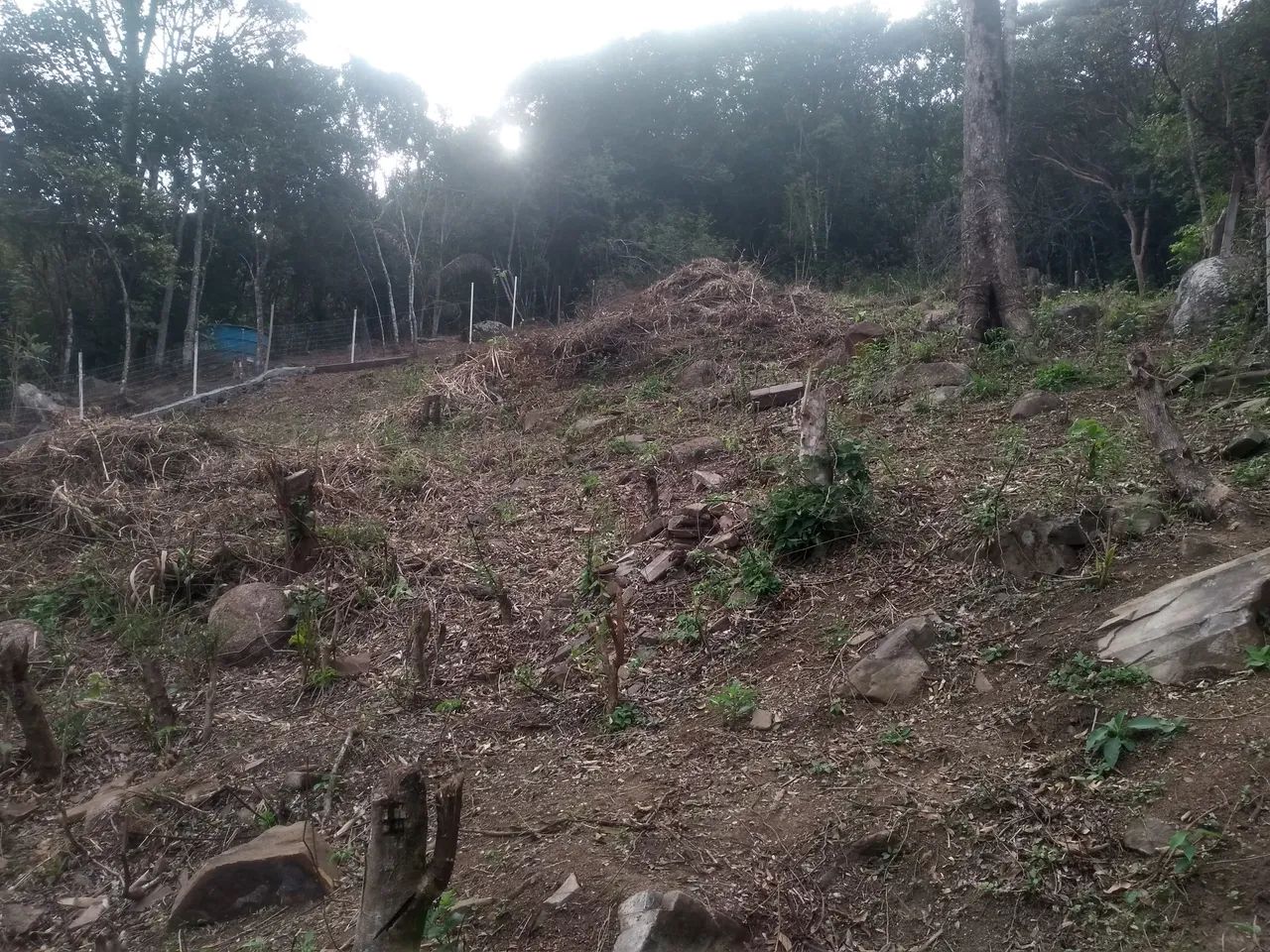  Vendo terreno na Costeira do Pirajubae  - Foto 4