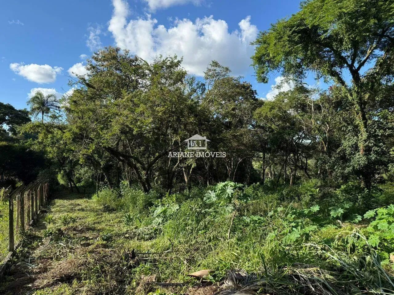 Oportunidade - Lote em Condomínio Ipê Amarelo - Foto 4