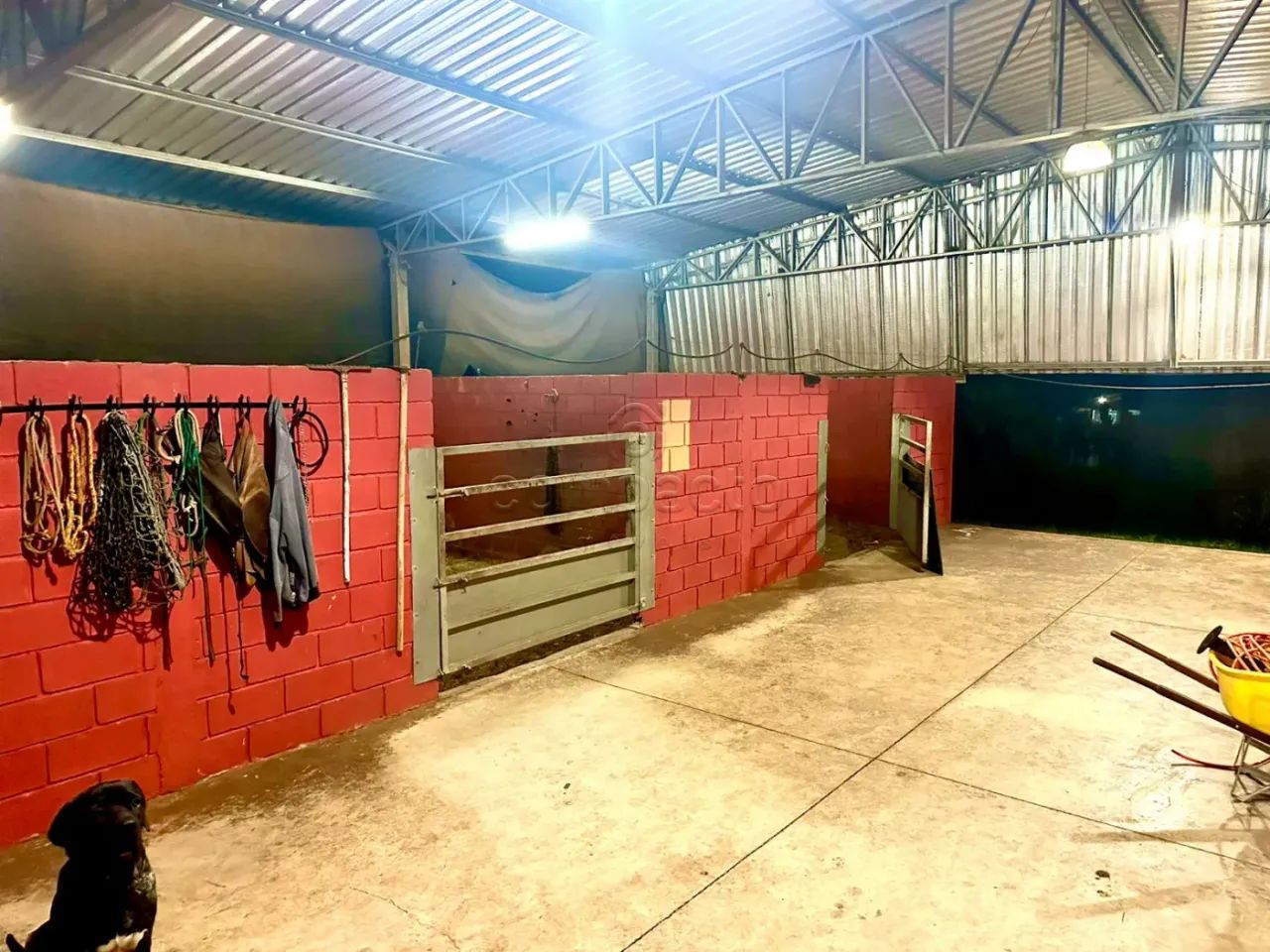Rural Sítio em Nova Aliança