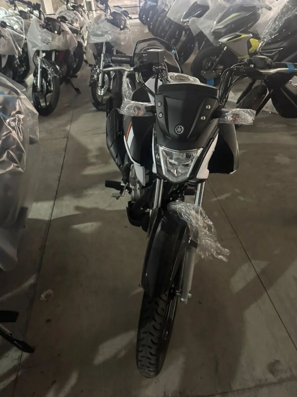 Moto - Foto 2