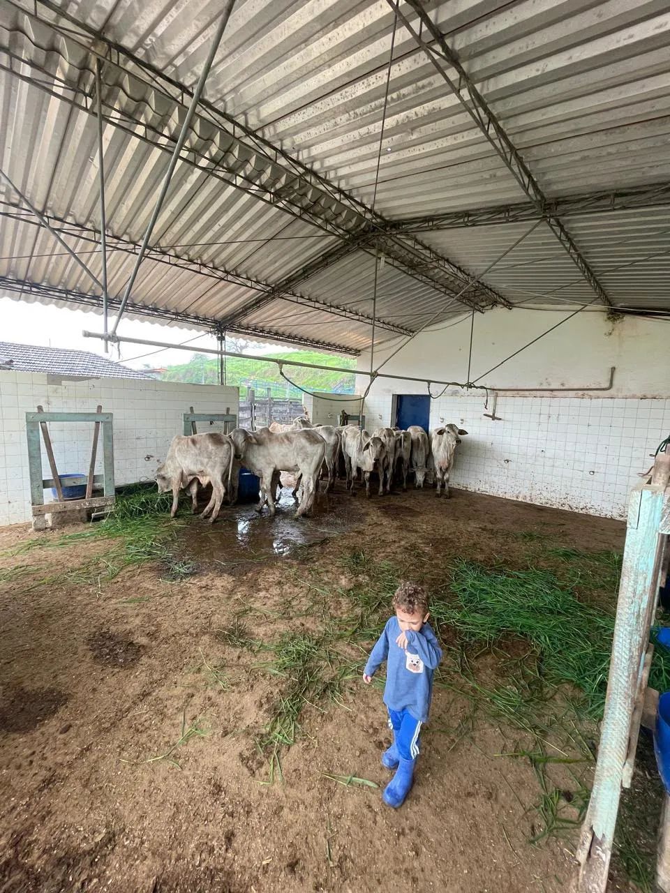 Fazenda 4 quartos - Mar de Espanha