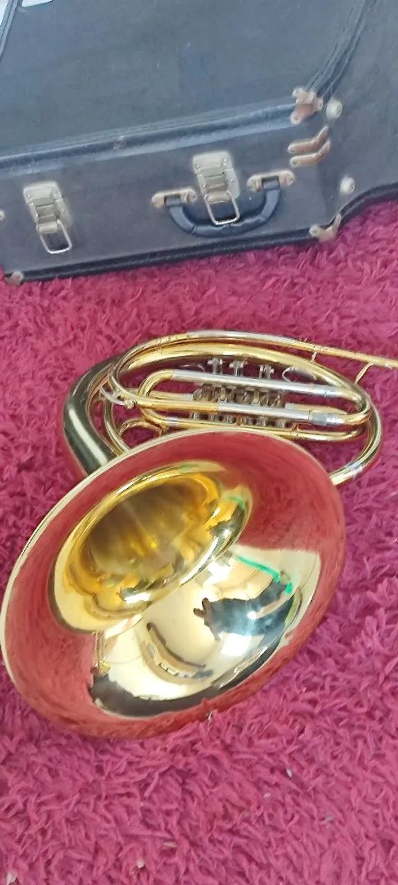 Trompa Weril K870 Sib - Foto 5