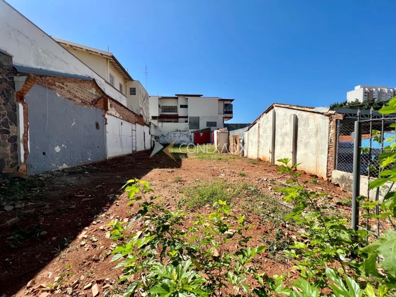 terreno - Taquaral - Campinas - Foto 2