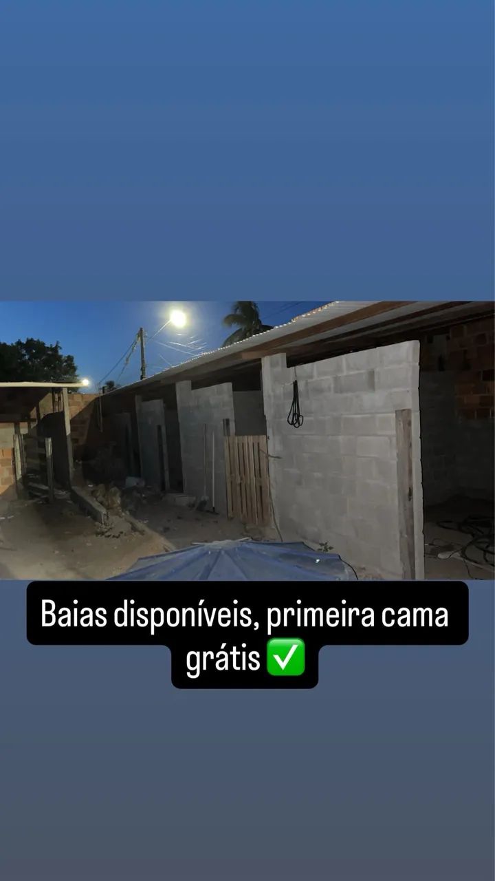 Alugo Baias para Cavalos  - Foto 2