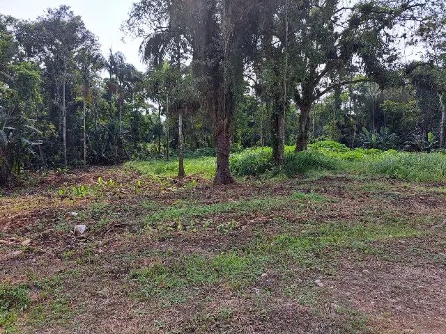 Terreno em Morretes - Foto 2