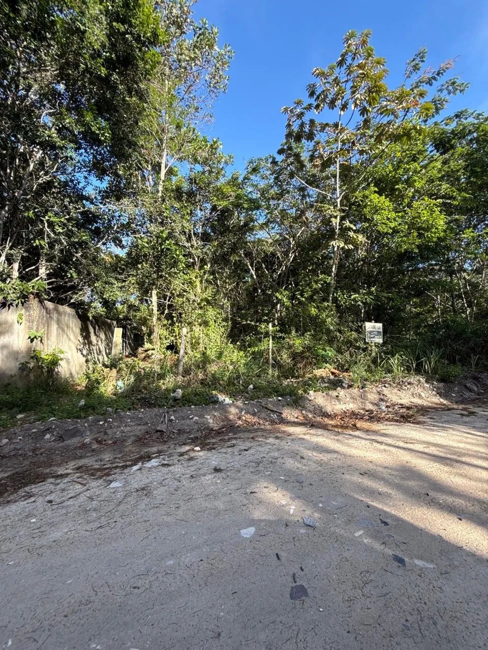 Terreno Arborizado Japara|Arraial dAjuda - Foto 4