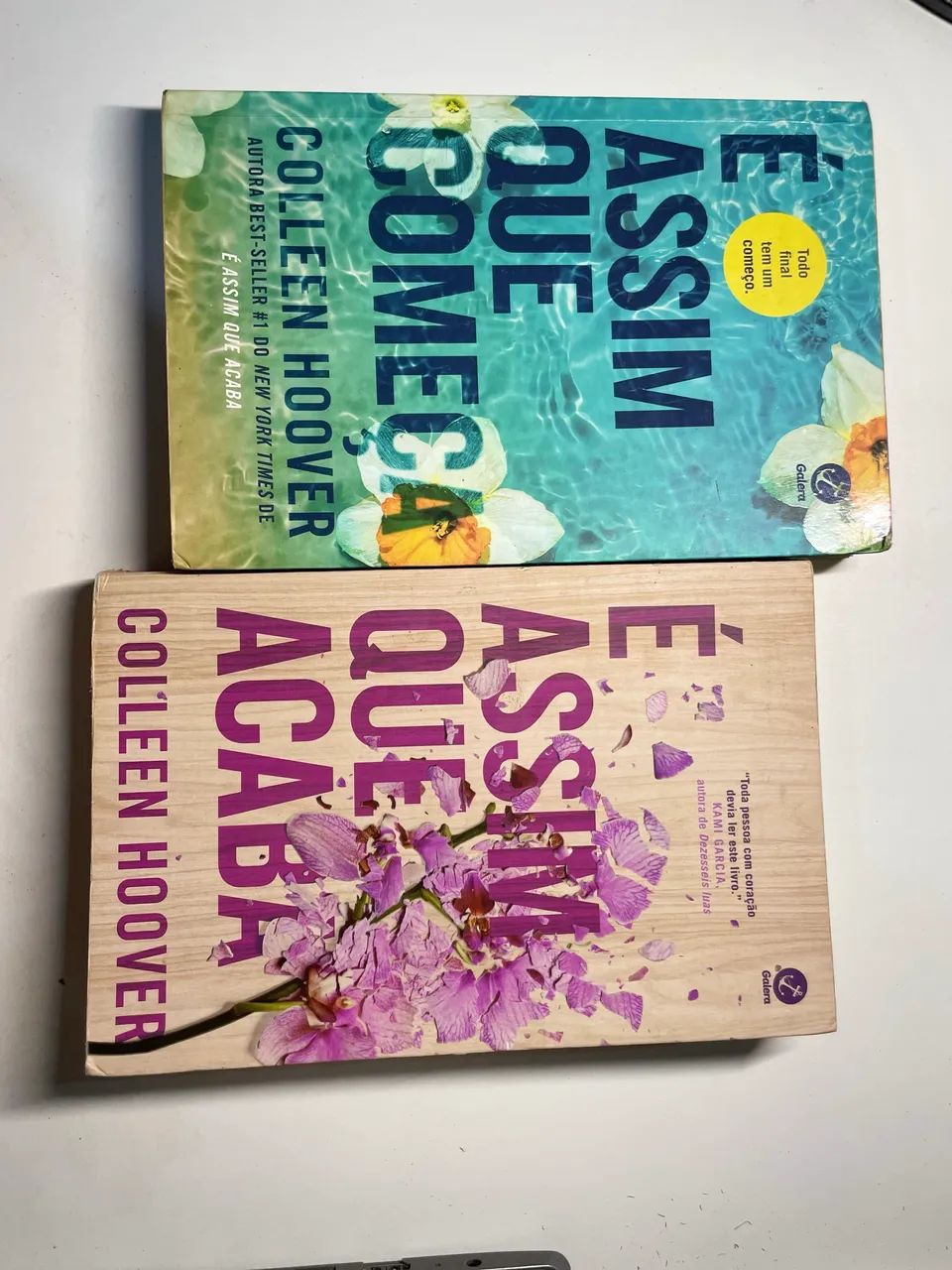 livro é assim que acaba e é assim que começa colleen hoover - Foto 3