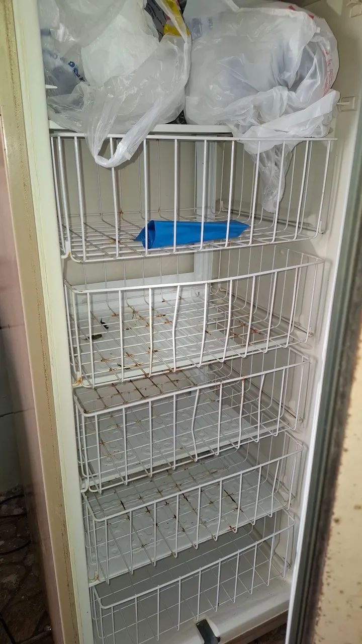 Frizer transversal - Foto 2