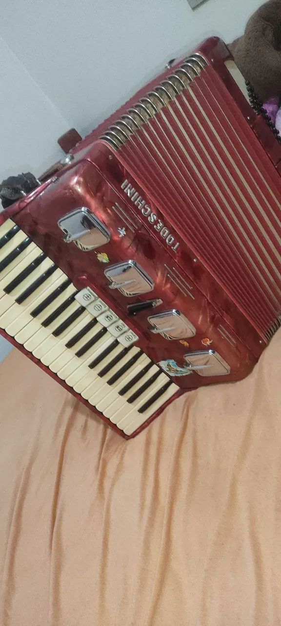 Acordeon todeschilli 80bx